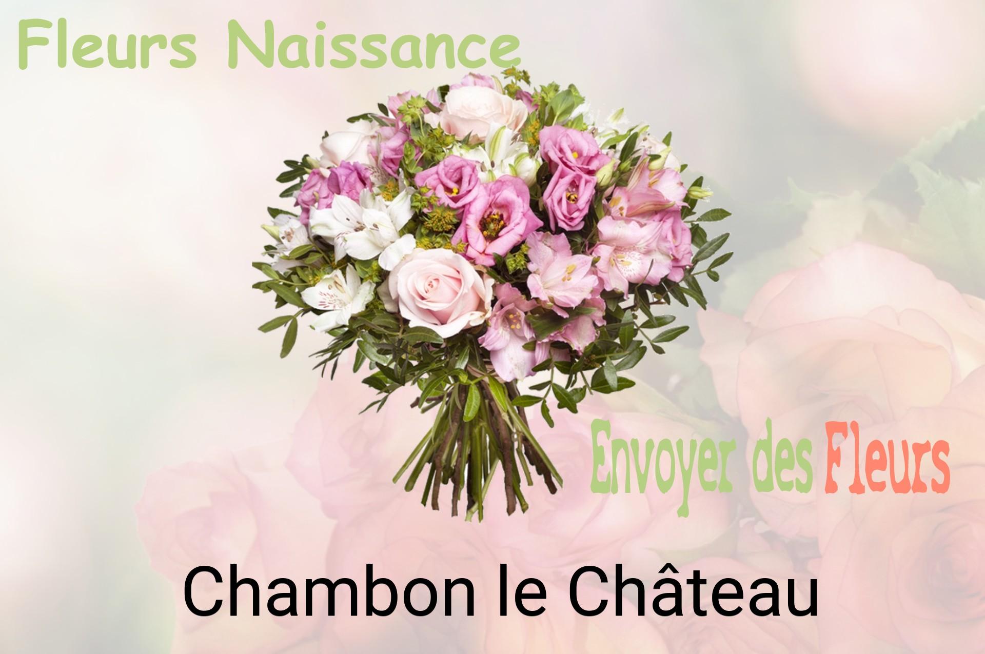 Bouquet de fleurs de naissance livré à Chambon-le-Château