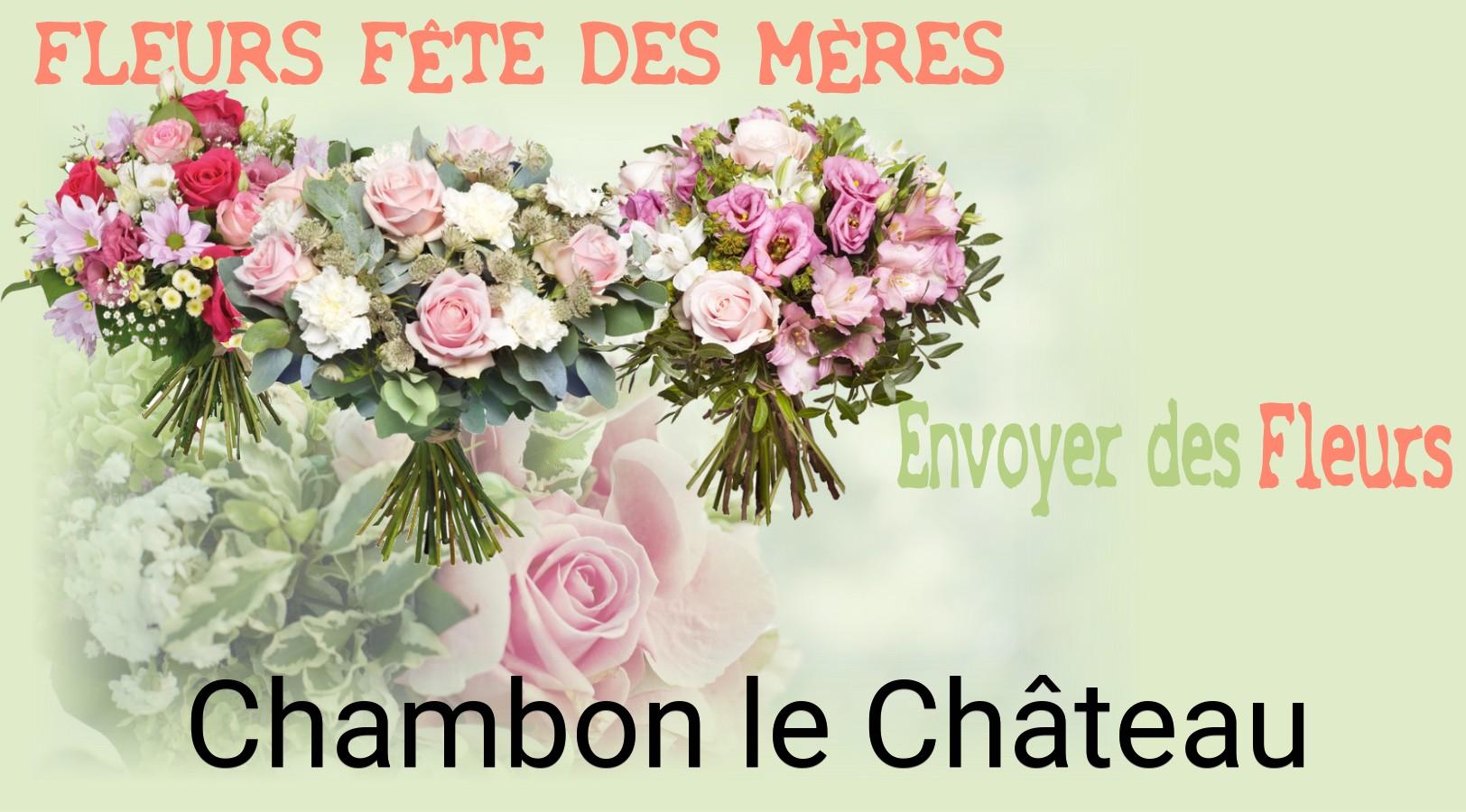 Bouquet de Fête des Mères livré à Chambon-le-Château